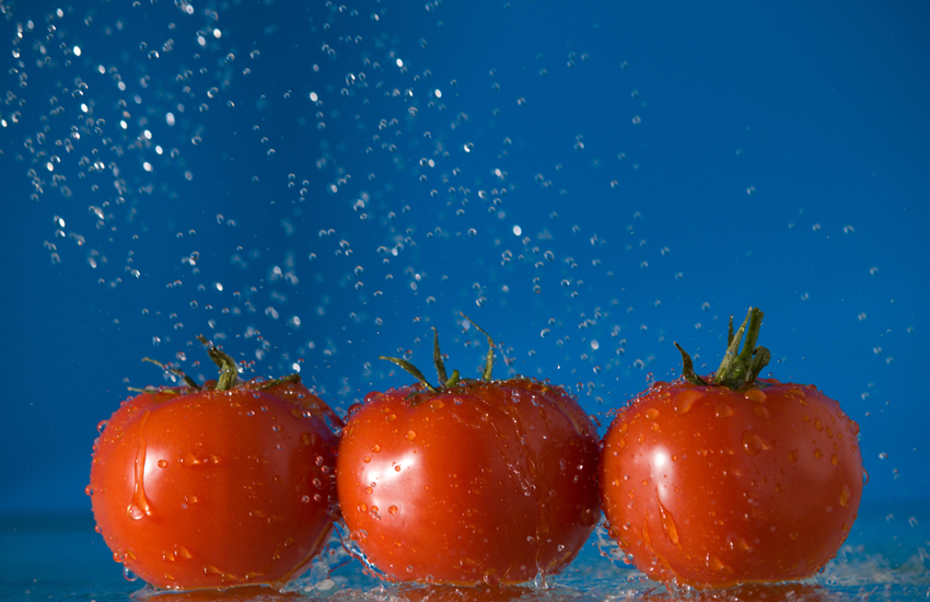 tomate maroc